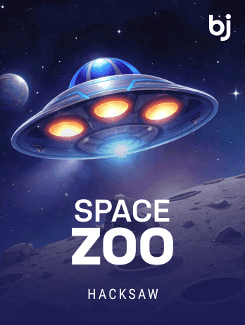 Space Zoop icon